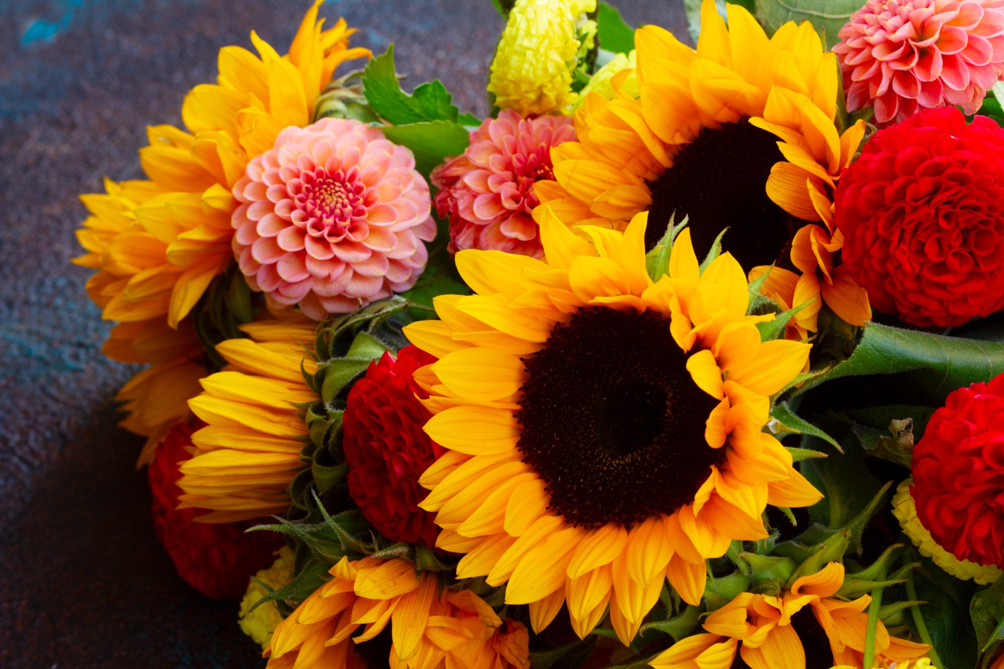 Cut floral arrangement